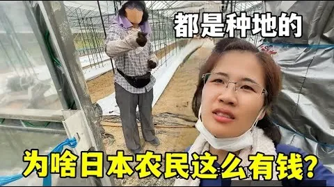 国安战队：急需“强心针”助力，实力爆发指日可待！